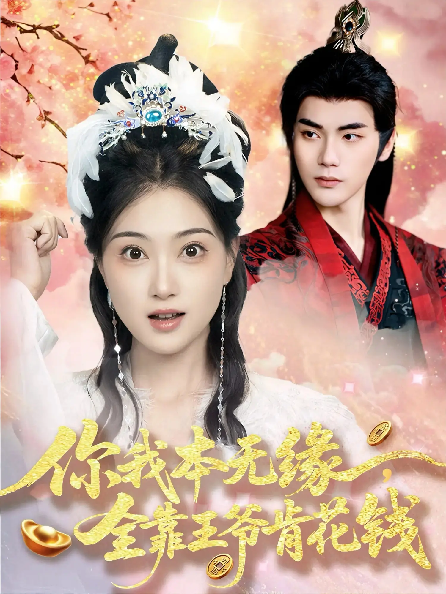 《你我本无缘全靠王爷肯花钱》：古装爱情喜剧，看王爷如何追妻