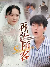 《再见已是陌客 归来的星光》：迷失与重逢，找寻自我价值的治愈之旅