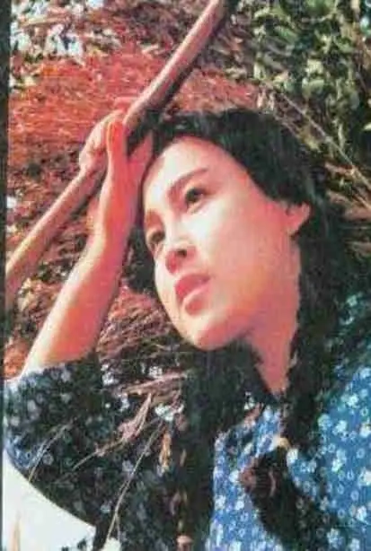 《部落性冲突》：当传统遭遇现代，一场关于身份与归属的残酷成人礼